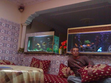 �+�  ABDELALI  */* OUASSEM �+�