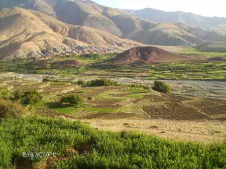 i'm from morocco & berber one